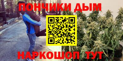 гашик Боровичи