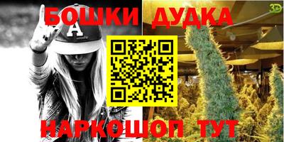гашик Боровичи