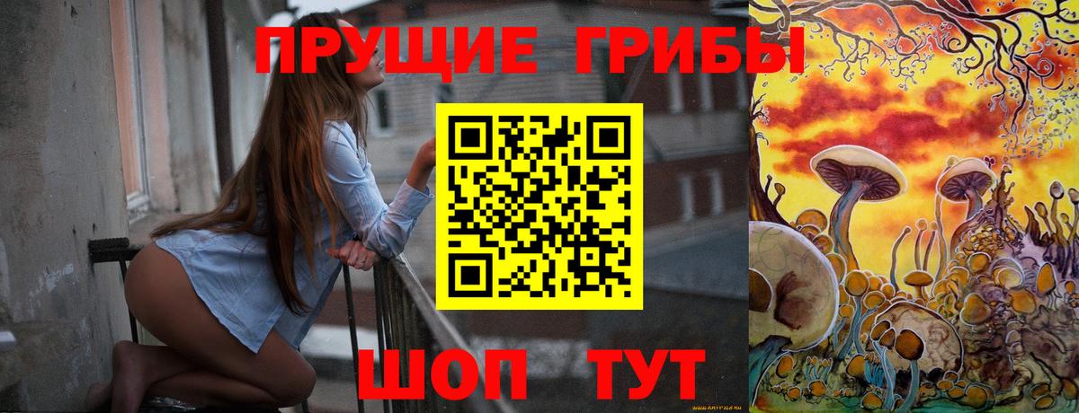 Галлюциногенные грибы Psilocybine cubensis  Вход с VPN  Галлюциногенные грибы Psilocybine cubensis  Ахтубинск 